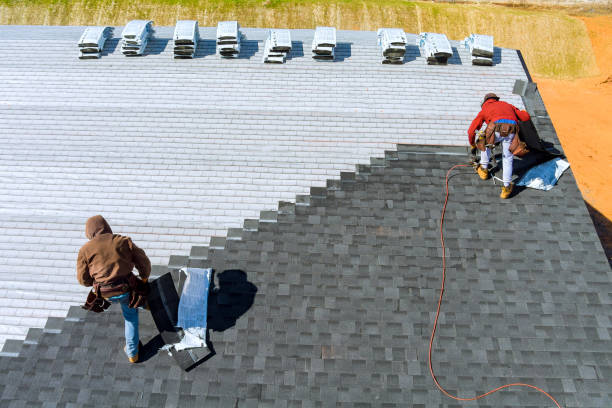 Best Roof Gutter Cleaning  in Elwood, KS