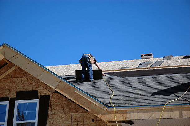 Best Roof Gutter Cleaning  in Elwood, KS