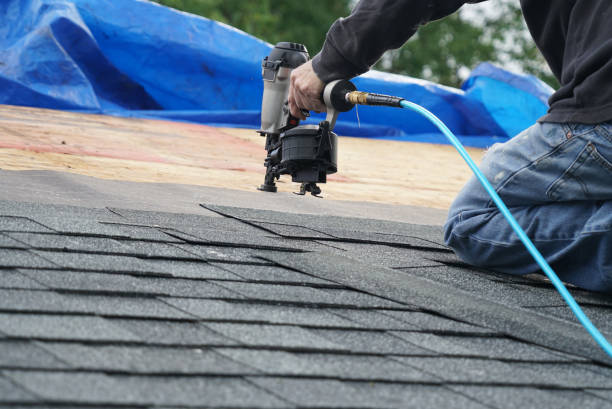 Best Metal Roofing Contractor  in Elwood, KS
